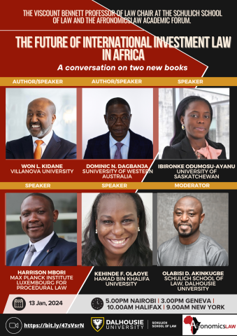 The Future of International Investment Law in Africa
