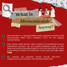 What is Afronomicslab